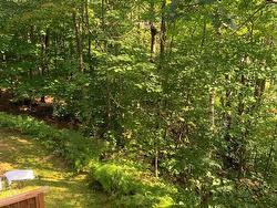 Wooded area - 