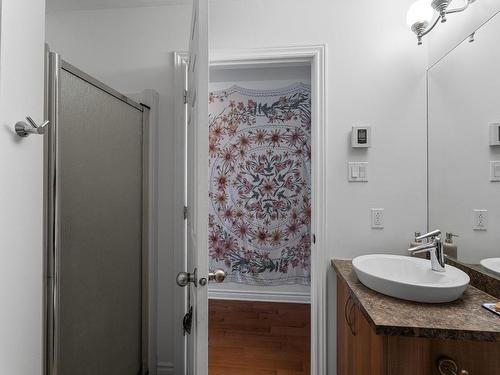 Bathroom - 1-2162 Av. Bourbonnière, Montréal (Mercier/Hochelaga-Maisonneuve), QC - Indoor Photo Showing Bathroom