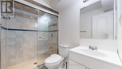 38 Whiteface Crescent, Brampton (Fletcher'S Meadow), ON - Indoor Photo Showing Bathroom