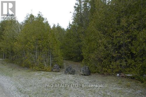 308 Ira Lake Road, Northern Bruce Peninsula, ON 