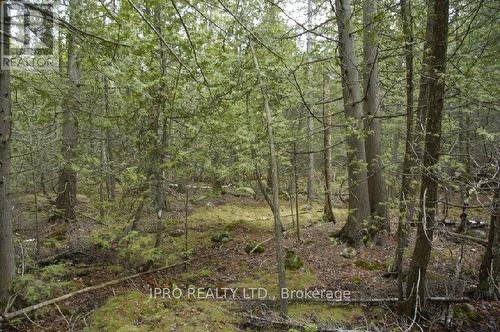 308 Ira Lake Road, Northern Bruce Peninsula, ON 