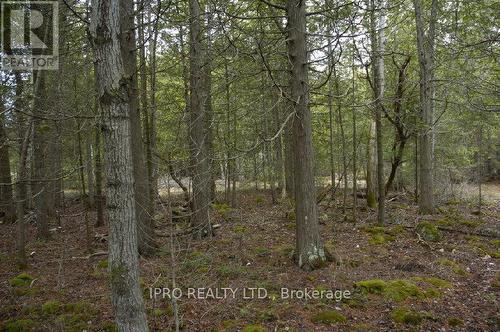 308 Ira Lake Road, Northern Bruce Peninsula, ON 