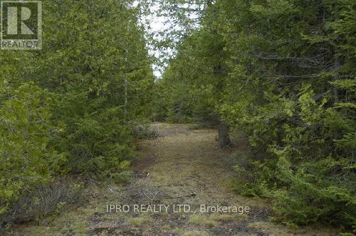 308 Ira Lake Road, Northern Bruce Peninsula, ON 