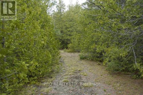 308 Ira Lake Road, Northern Bruce Peninsula, ON 