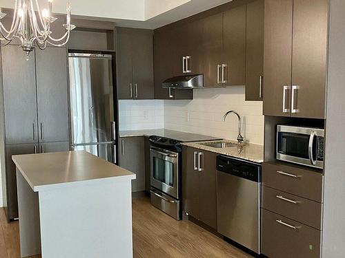 Kitchen - 305-1150 Rue St-Denis, Montréal (Ville-Marie), QC - Indoor Photo Showing Kitchen With Upgraded Kitchen