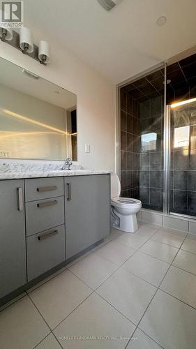 135 Credit Lane, Richmond Hill, ON - Indoor Photo Showing Bathroom