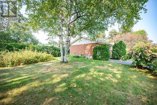 11 Avon Road, Deep River, ON - Outdoor