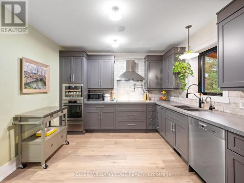 213 Caroline Street S, Hamilton, ON - Indoor Photo Showing Kitchen With Double Sink