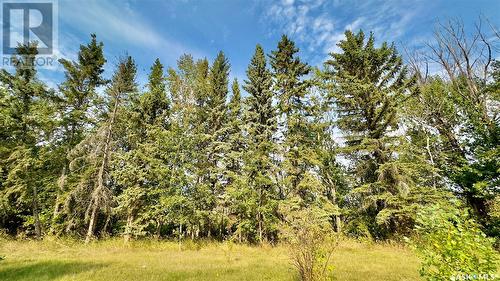 Rm Of Mervin Acreage - Robinson, Mervin Rm No.499, SK - Outdoor With View