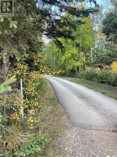 Fir River Country Acreage, Hudson Bay, SK - Outdoor