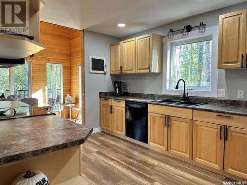 116 White Birch Drive, Lucien Lake, SK - Indoor Photo Showing Kitchen With Double Sink