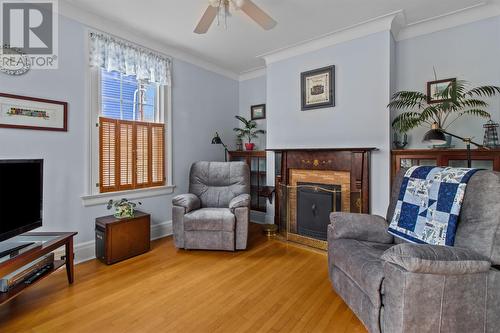 21 Waterford Bridge Road, St.John'S, NL - Indoor Photo Showing Living Room With Fireplace