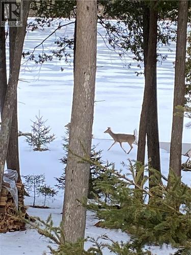 96 Steven Street, Gore Bay, ON - Outdoor With View