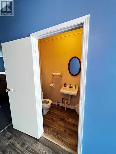 264/272 Route Nl-94 Road, Admirals Beach, NL - Indoor Photo Showing Bathroom