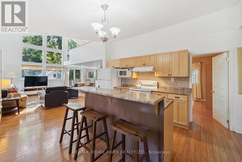 708 Montbeck Crescent, Mississauga (Lakeview), ON - Indoor Photo Showing Kitchen