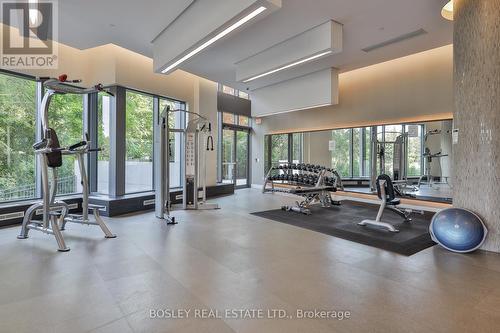 Lph 10 - 160 Vanderhoof Avenue, Toronto (Leaside), ON - Indoor Photo Showing Gym Room