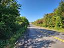 Mary Jane Riley Road, Bear River East, NS 