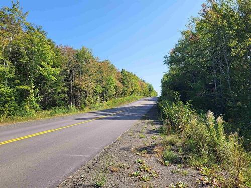 Mary Jane Riley Road, Bear River East, NS 