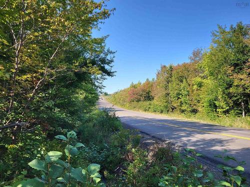 Mary Jane Riley Road, Bear River East, NS 