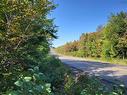 Mary Jane Riley Road, Bear River East, NS 