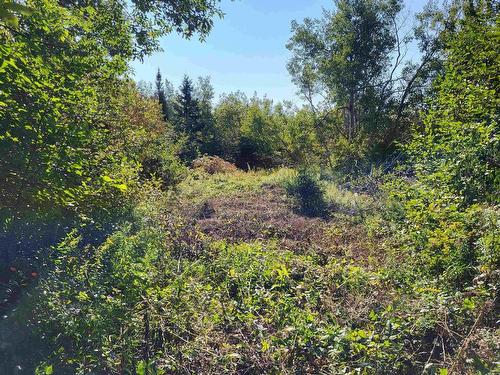 Mary Jane Riley Road, Bear River East, NS 