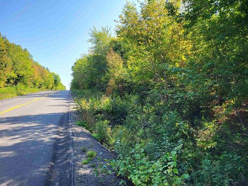 Mary Jane Riley Road, Bear River East, NS 