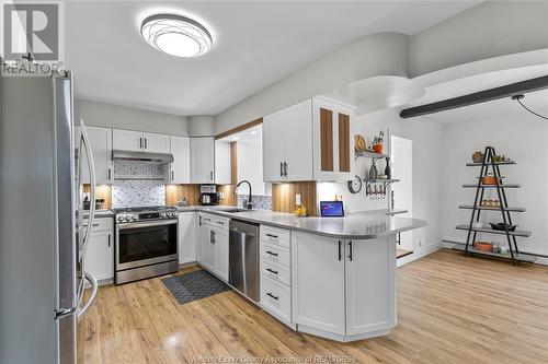 210 Laurier Drive, Lasalle, ON - Indoor Photo Showing Kitchen With Upgraded Kitchen