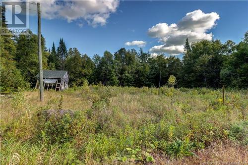 382 Cumberland Road, Lakeside, NB - Outdoor With View