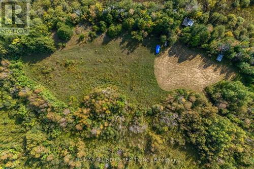 Lot 1 Four Points Road, Kawartha Lakes, ON 