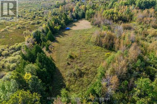 Lot 1 Four Points Road, Kawartha Lakes, ON 