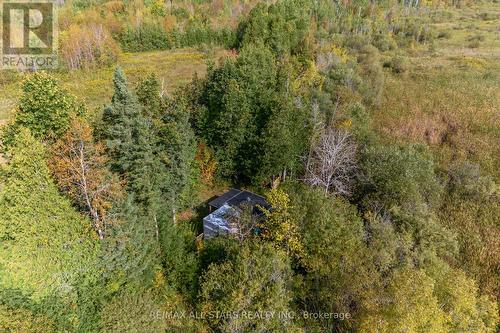 Lot 1 Four Points Road, Kawartha Lakes, ON 