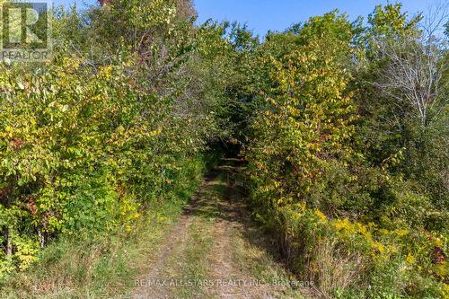 Lot 1 Four Points Road, Kawartha Lakes, ON 