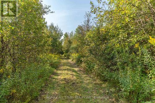 Lot 1 Four Points Road, Kawartha Lakes, ON 