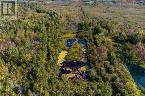 Lot 1 Four Points Road, Kawartha Lakes, ON 