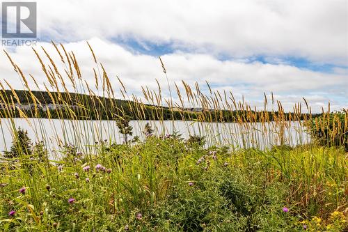 1539 Topsail Road Unit#105, Paradise, NL 