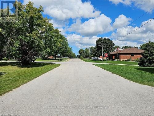 112 George Street, Arran-Elderslie, ON - Outdoor With View