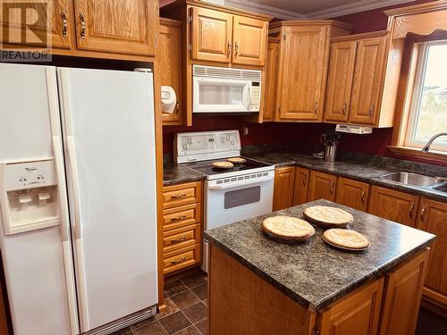 107 Main Street, Triton, NL - Indoor Photo Showing Kitchen