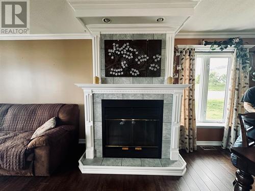 107 Main Street, Triton, NL - Indoor Photo Showing Living Room With Fireplace