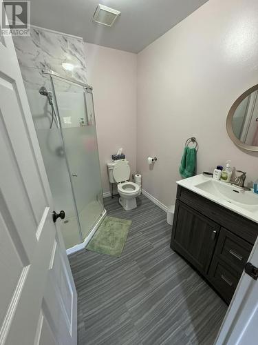 4 Campbell Street, Happy Valley-Goose Bay, NL - Indoor Photo Showing Bathroom