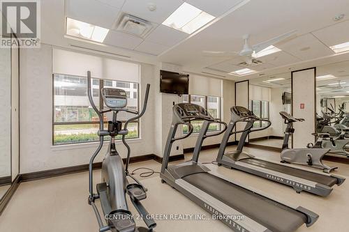 217 - 55 De Boers Drive, Toronto, ON - Indoor Photo Showing Gym Room