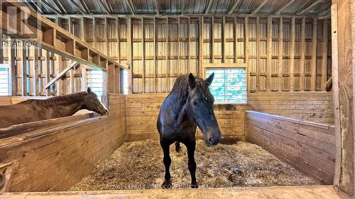 88 Highland Road, Alnwick/Haldimand, ON - Indoor Photo Showing Other Room