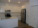 Kitchen - 303-542 Rue Main, Hudson, QC  - Indoor Photo Showing Kitchen With Double Sink 