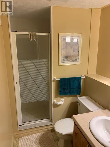 100 Main Street, Birchy Bay, NL - Indoor Photo Showing Bathroom