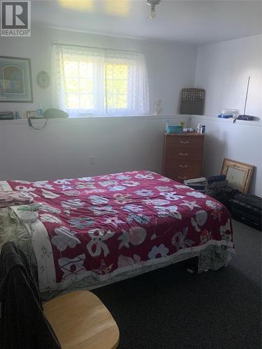 100 Main Street, Birchy Bay, NL - Indoor Photo Showing Bedroom