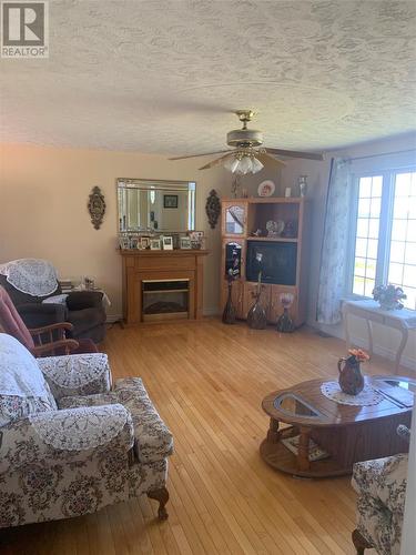 100 Main Street, Birchy Bay, NL - Indoor Photo Showing Living Room With Fireplace