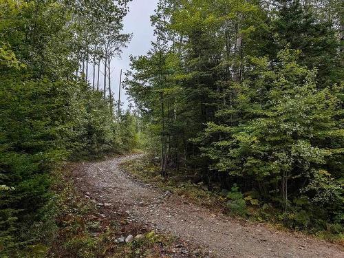 Lot 5-24 Falkenham Road, East Dalhousie, NS 