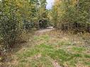 Lot 5-24 Falkenham Road, East Dalhousie, NS 