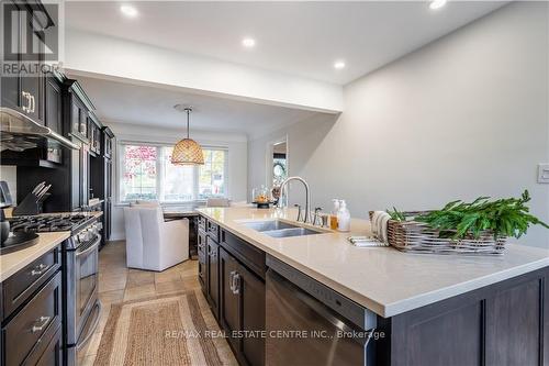 431 Patricia Drive, Burlington (Lasalle), ON - Indoor Photo Showing Kitchen With Double Sink