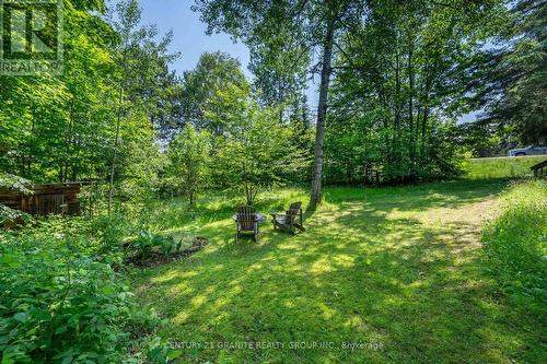 33225 Hwy 62, Hastings Highlands, ON - Outdoor