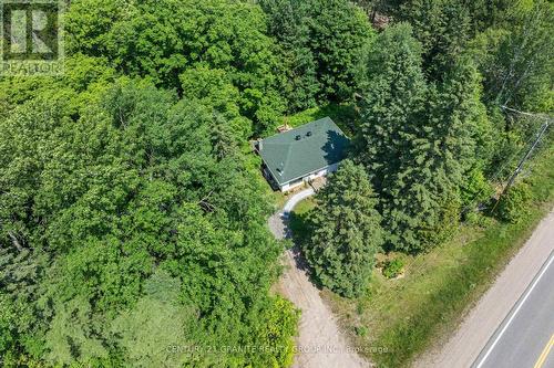 33225 Hwy 62, Hastings Highlands, ON - Outdoor